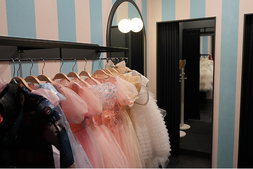 코스튬 존(Costume Zone)